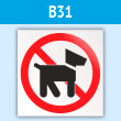 ���� ������ ����� ���������, B31 (�������, 200�200 ��)